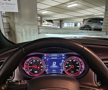 Avis Car Rental