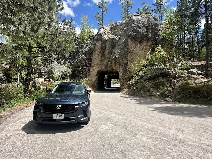 Alamo Rent A Car Picture 10