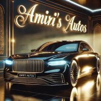 Amiris Auto Leasing llc ico