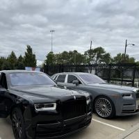 DS Luxury ico