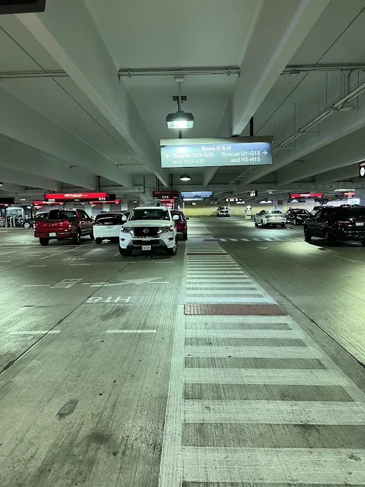 Avis Car Rental Picture 2