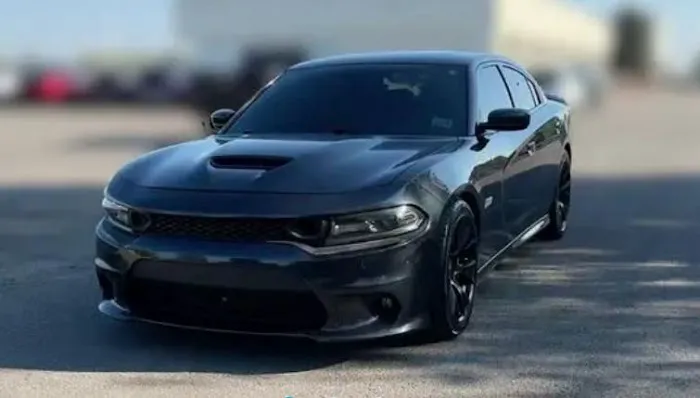 Budget Car Rental Picture 3