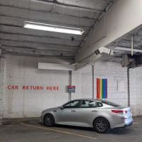 Avis Car Rental ico