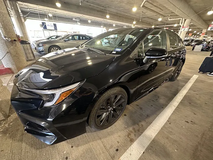 ACE Rent A Car Picture 8