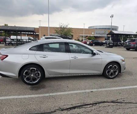 Avis car rental