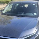 Avis Car Rental