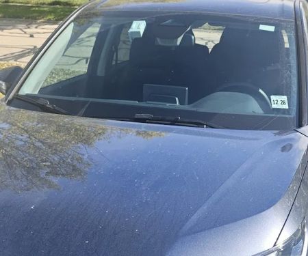 Avis Car Rental