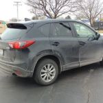 Avis Car Rental