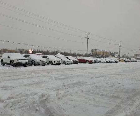 Payless Car Rental