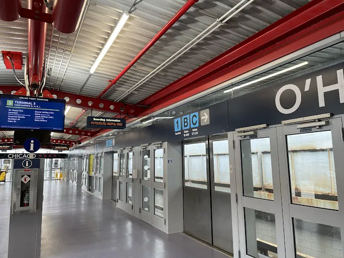 Payless Car Rental Picture 4
