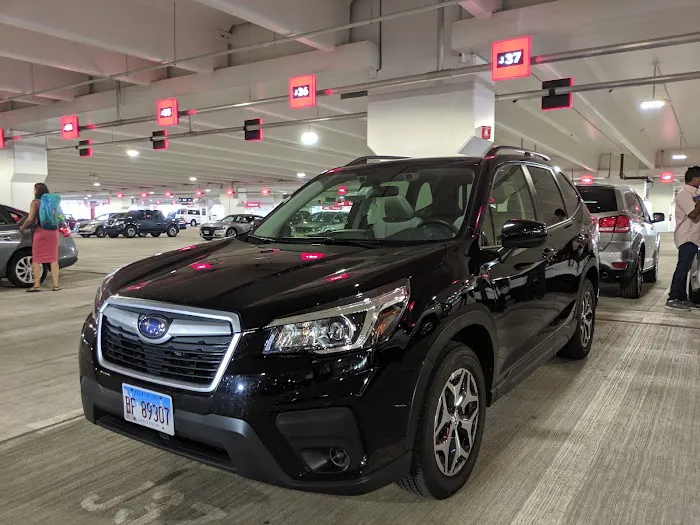 Payless Car Rental Picture 9