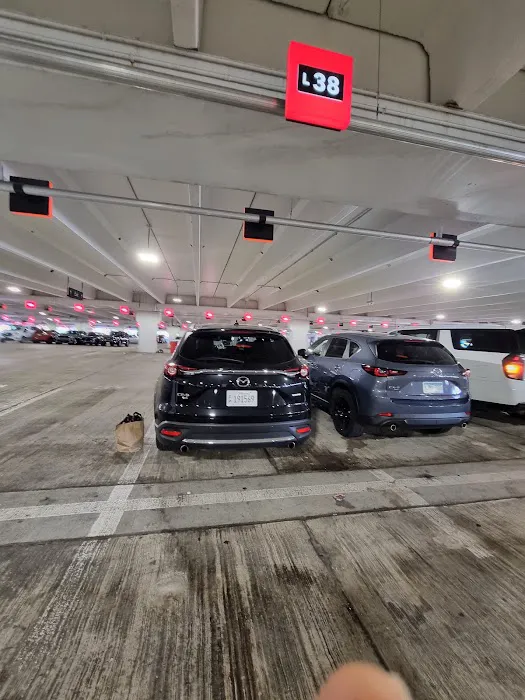 Avis Car Rental Picture 8
