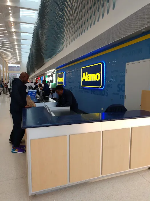 Alamo Rent A Car Picture 1