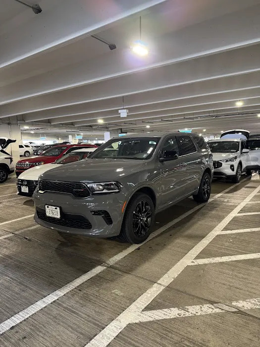 Alamo Rent A Car Picture 5