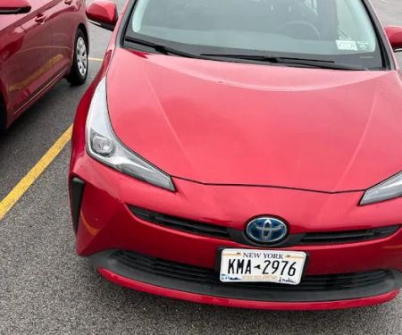 Avis Car Rental