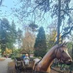 Vintage Soul__Car Rental