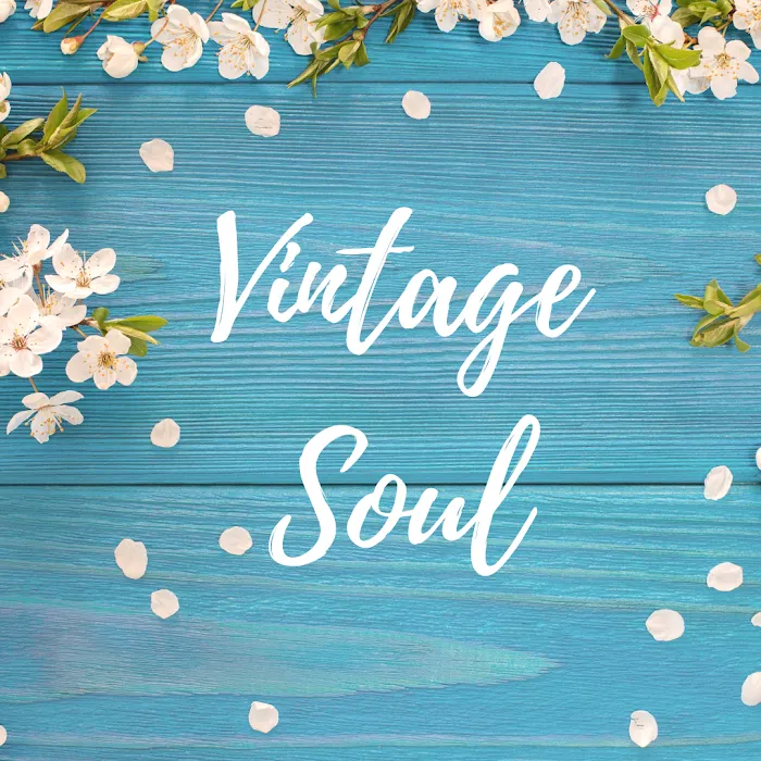Vintage Soul__Car Rental Picture 3