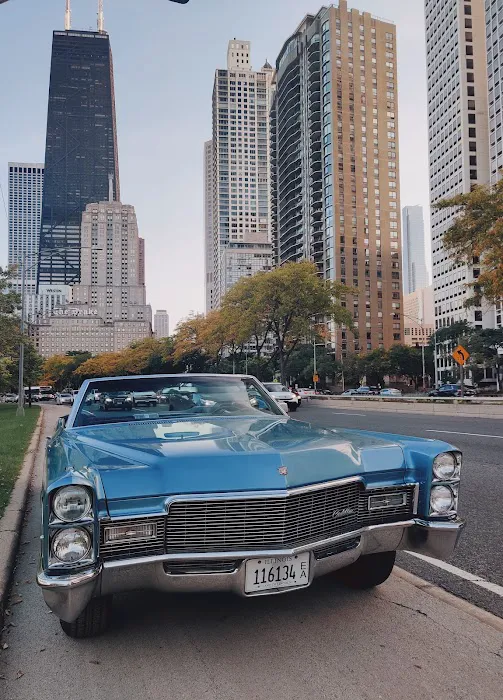 Vintage Soul__Car Rental Picture 7