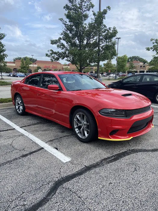 Budget Car Rental Picture 5