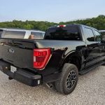Avis Car Rental