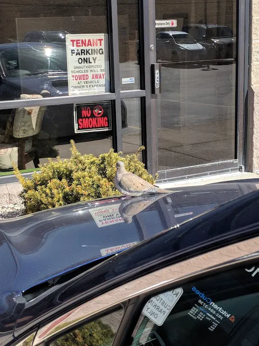 Enterprise Rent-A-Car Picture 2