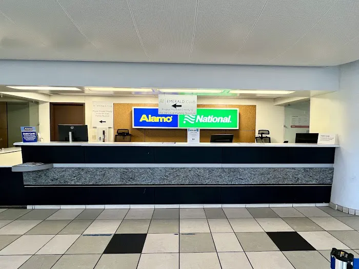 Alamo Rent A Car Picture 1
