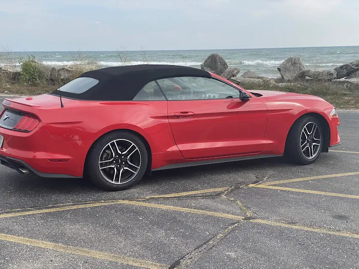 Alamo Rent A Car Picture 4