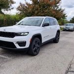 Avis Car Rental
