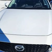 Enterprise Rent-A-Car ico