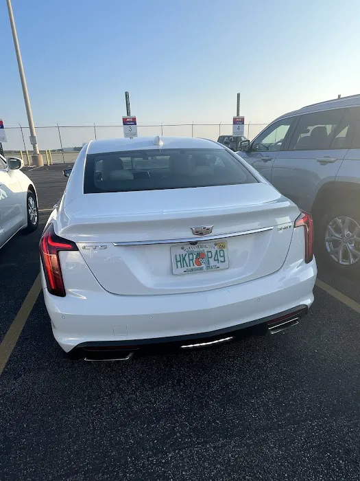 Avis Car Rental Picture 1