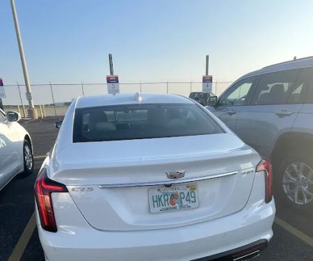 Avis Car Rental