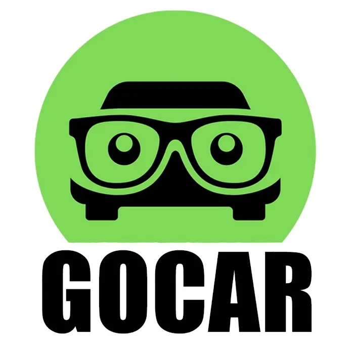 GoCar Picture 8