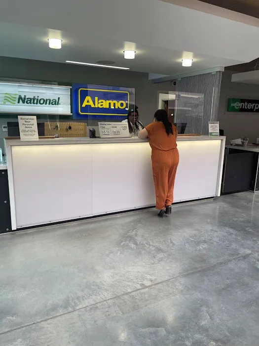 Alamo Rent A Car Picture 4