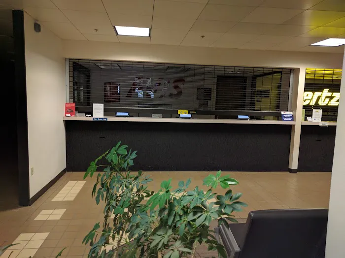 Avis Car Rental Picture 2