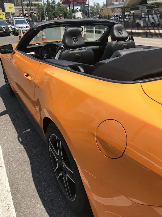 Budget Car Rental Picture 8
