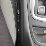 Avis Car Rental
