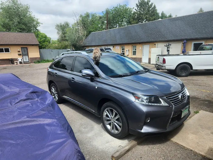 Dasher Dave's Car Rental Picture 6