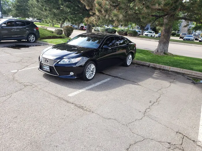 Dasher Dave's Car Rental Picture 8