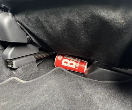 Avis Car Rental