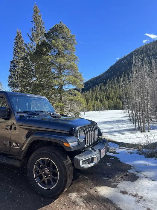 Budget Car Rental Picture 4