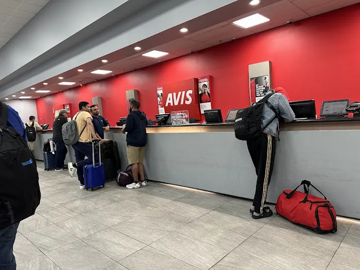 Avis Car Rental Picture 6