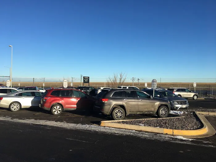 Payless Car Rental Picture 2