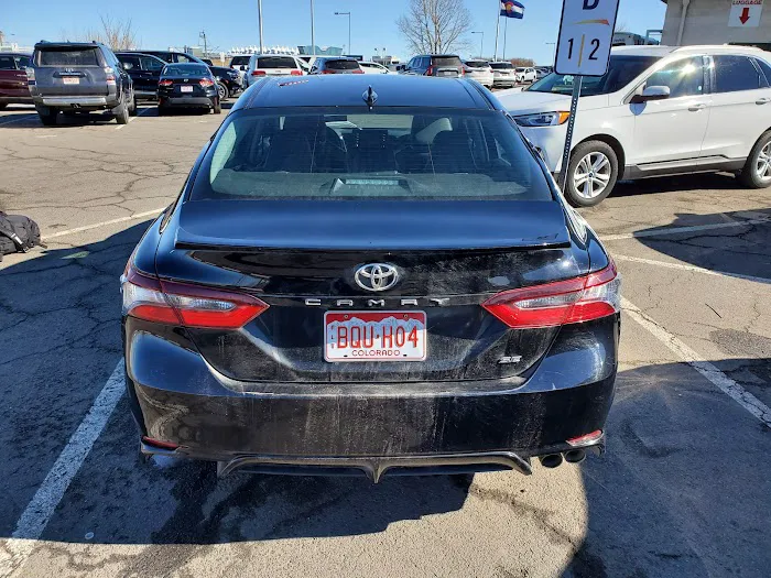 Payless Car Rental Picture 4