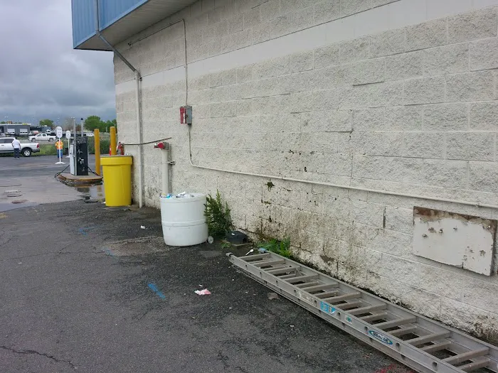 Payless Car Rental Picture 8