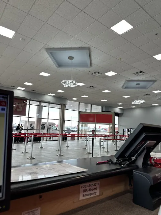 Avis Car Rental Picture 2