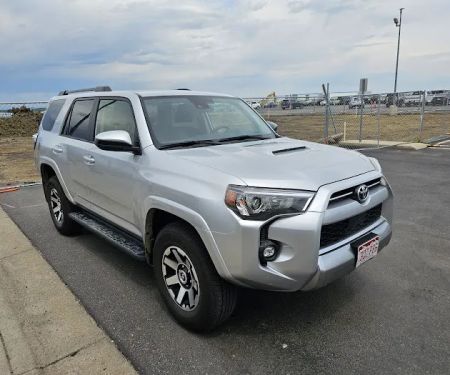 Budget Car Rental
