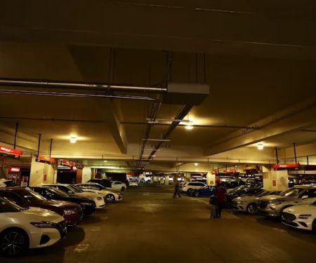 Avis Car Rental