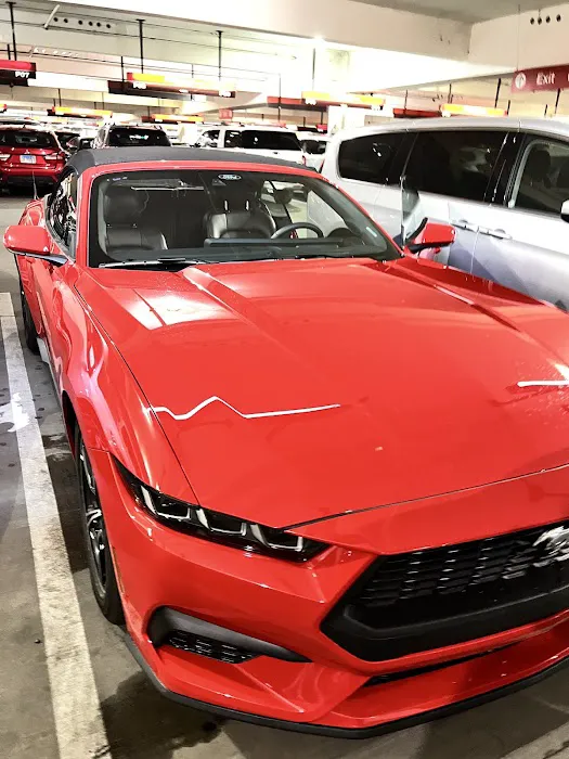 Avis Car Rental Picture 7