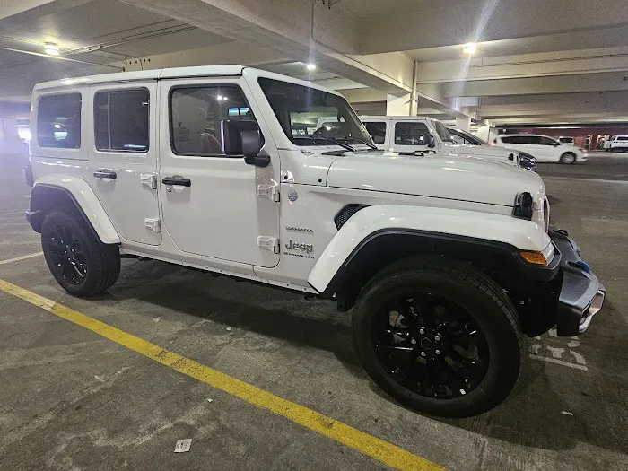 Alamo Rent A Car Picture 2