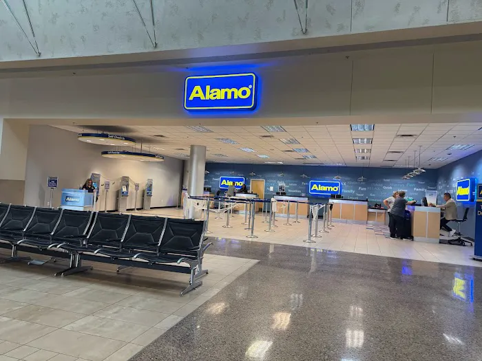 Alamo Rent A Car Picture 3
